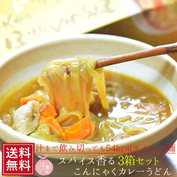 こんにゃく麺 こんにゃくカレーうどん箱(2食入)×3箱 | ダイエット 料理 ヌードル 蒟蒻 コンニャク 置き換え 食事 食品 こんにゃくラーメン 福島県 国産 糖質 減量 ギフト 低カロリー グルメ ダイエット食品 低糖質 低糖質麺 常温保存 送料無料 春