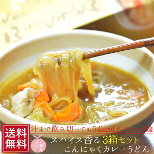 こんにゃく麺 こんにゃくカレーうどん箱(2食入)×3箱セット ダイエット 料理 こんにゃく麺 ヌードル 蒟蒻 コンニャク 置き換え 食事 食品 こんにゃくラーメン 福島 国産 糖質 減量 祝 ギフト 常温 * 低カロリー グルメ 送料無料 敬老