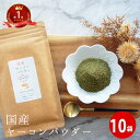 ヤーコンパウダー 10袋 メール便 ギフト 珍しい 母の日