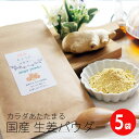 国産 生姜パウダー 20g×5 100g しょうが粉末 砂糖無 業務 生姜 ジンジャー 乾燥 生姜茶 粉 乾燥生姜 祝 ギフト ショウガ 生姜湯 ショウガオール...