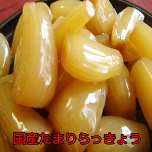 らっきょう漬け 国産 たまりらっきょう漬120g メール便 ラッキョウ お漬け物 漬物 なまため 祝 ギフト ご飯のお供 らっきょ つけもの たまり漬け 後払い決済 5298 キャッシュレス 女性 酒の肴グルメ バレンタイン 送料無料 義理 自分