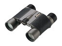 【納期約2週間】【お一人様1点まで】Nikon 双眼鏡 10x25HG L DCF 倍率10倍