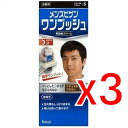 【納期約3週間】(100659)×3 hoyu メンズビゲン ワンプッシュ 5 (ナチュラルブラウン) ×3個セット