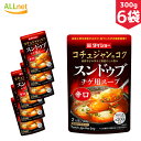 【送料無料】ダイショー スンドゥブチゲ用スープ 辛口 2人前(300g)×6袋セット スンドゥブの素 マイルド味 韓国調味料
