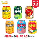 韓国飲料(ジュース) 6種から選べる2点セット 各238ml×2点 ヘテ 韓国 ジュース もも 梨 ナタデココ ぶどう ぶどうジュース ももボンボン ドリンク/ ソフトドリンク/お土産/韓国お土産/お歳暮/ お中元/ギフト/プレゼント シッケ スジョンガ セックセックオレンジ