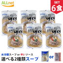 【まとめてお得】【送料無料】宋家宮殿冷麺 6食セット 麺160g×6袋＋冷麺スープorビビムソース 選択可! 韓国冷麺 韓国れいめん 韓国食品 業務用冷麺 宋家の冷麺 メミル冷麺 宋家冷麺 韓国の冷麺