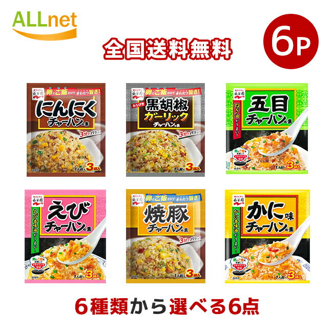 【全国送料無料】永谷園 チャーハンの素 お選びセット 27g(9g×3袋入)×6点セット 五目チャーハンの素 かに味チャーハンの素 にんにくチャーハンの素 海老チャーハンの素 豚肉チャーハンの素