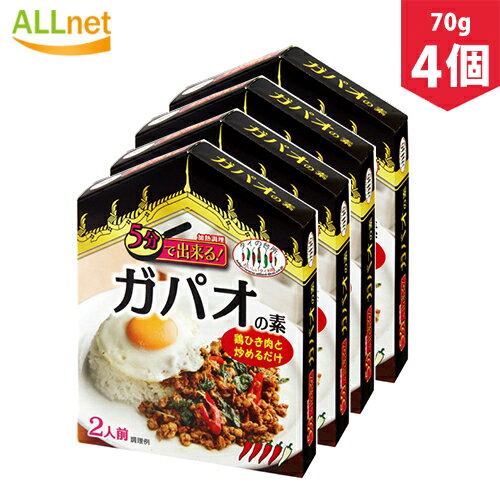 【送料無料】簡単！本格タイ料理調理セット 70g×4個セット ガパオの素　約2人前 タイ料理 調味料 バジル炒め エスニック料理 ひき肉料理 ガパオライス