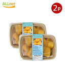 送料無料 冷凍 ベトナム産 ジャックフルーツ500g×2個セット パラミツ Frozen Jack Fruit