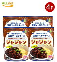 【全国送料無料】Ongane ジャジャンソース 120g×4袋 万能ソースシリーズ 万能の素