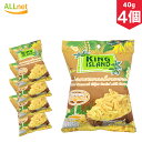 KING ISLAND ココナッツチップス キャラメル コーティング 40g×4個セット