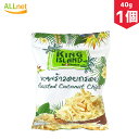 KING ISLAND ココナッツチップス 40g キングアイランド