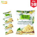 KING ISLAND ココナッツチップス 40g×3個セット キングアイランド