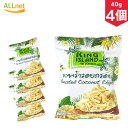 KING ISLAND ココナッツチップス 40g×4個セット その1