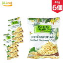 KING ISLAND ココナッツチップス 40g×6個セット キングアイランド