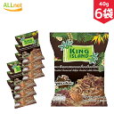 KING ISLAND ココナッツチップス チョコレート味 40g×6個セット