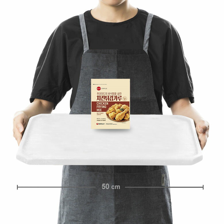 【送料無料】Otaste チキンパウダー 500g×4袋セット チキン パウダー フライドチキン 韓国風 韓国食品 韓国食材 韓国料理 調味料 ヤンニョムチキン