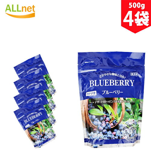 【送料無料・冷凍】BLUEBERRY ブルーベリー　500g×4袋セット　カナダ産　酸味　果物　冷凍食品　業務スーパー　大容量