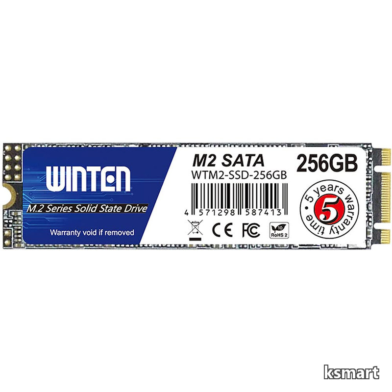 送料無料 SSD 256GB M.2 SATA 2280 最大読取500MB/s 最大書込500MB/s 3D NAND SATA 6Gb/s B&M Key 5年保証 WTM2-SSD-256GB