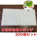 水耕栽培 発芽用スポンジ 200個分 ホワイト/ブラック 苗の初期育成に最適