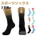 靴下 バスケ ソックス メンズ 2足組 スポーツソックス ジュニア 25-29cm メッシュ 蒸すれない 滑り止め 野球 登山用靴下 黒 白 カラフル