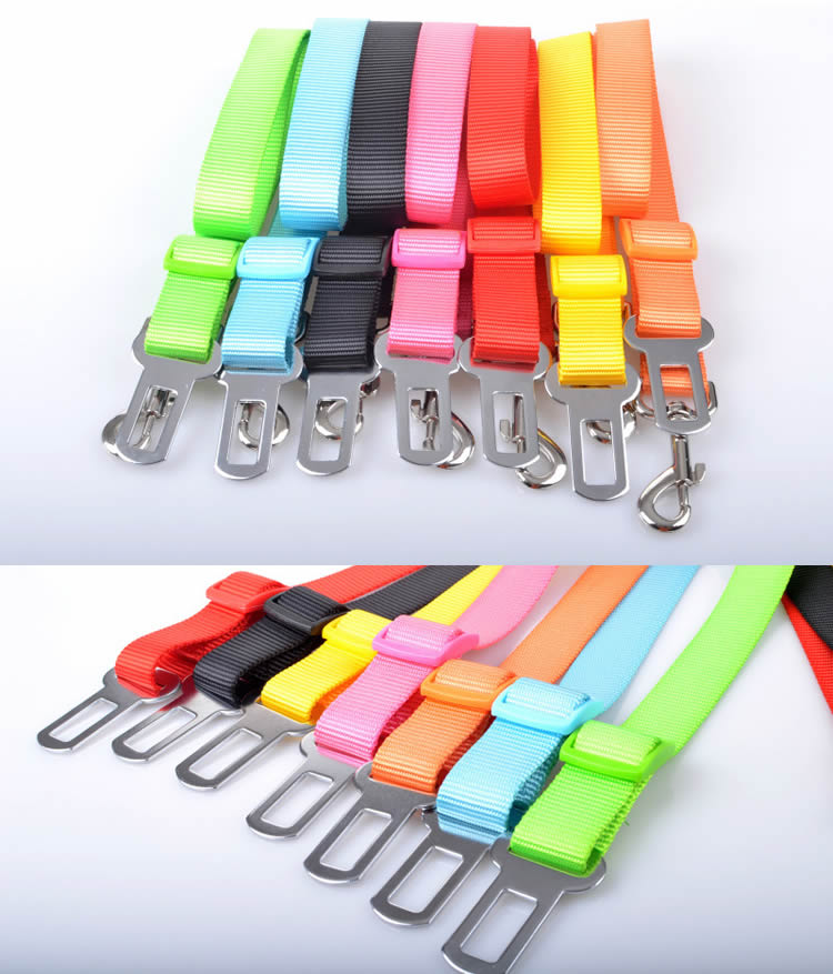 �ڥå��� �����եƥ����٥�� ���ӽФ��ɻ� �ɥå������ȥ٥�� ������� �����ȥ٥�� �淿�� ������ ���� �Ҥ�