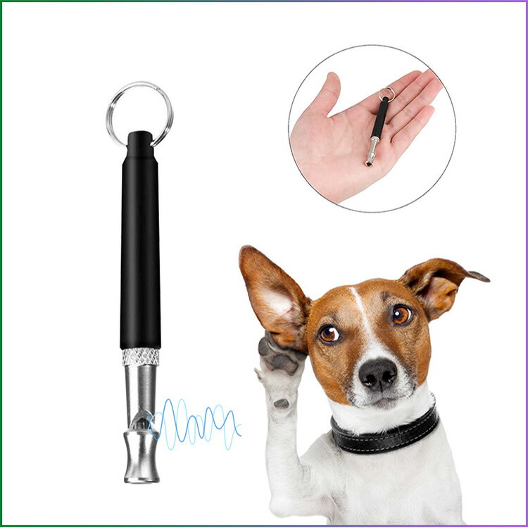 ��ū Ķ���ȥۥ��å��� ����å��� ����� ���㲻Ĵ����ǽ �ڥå����� �ȥ졼�˥󥰥ۥ��å��� ��ū �ȥ졼�˥� Ķ�ⲻ ���Ф����������⥰�å�