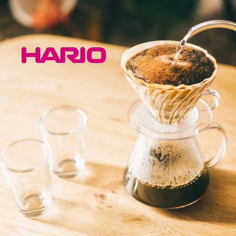 HARIO ハリオ コーヒー ドリップ セット V60 コーヒーブリューイングキット 600ml(1～4杯用) おしゃれ シンプル ギフト ハンドドリップ エントリーモデル 入門 S-VGBK-02-T【食器洗浄機対応】【電子レンジ対応】