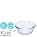 【日本製】ボール100 6個セット Φ100×H42mm アデリア P-6202