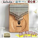 カリンバ 41音 24音 初心者セット 親指ピアノ サムピアノ 楽譜 教本 入門書 ケース 指サック チューニング済み チューニングハンマー チューナー 楽器 ...