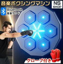 【SS期間熱売中】音楽ボクシングマシン スマート ディスプレイ付き 子供 大人 音楽ボクシングマシン 壁パンチングバッグ ボクシングトレーニングパンチング機器 スマート 音楽ボクサーボクシングマシン 家庭での運動 送料無料