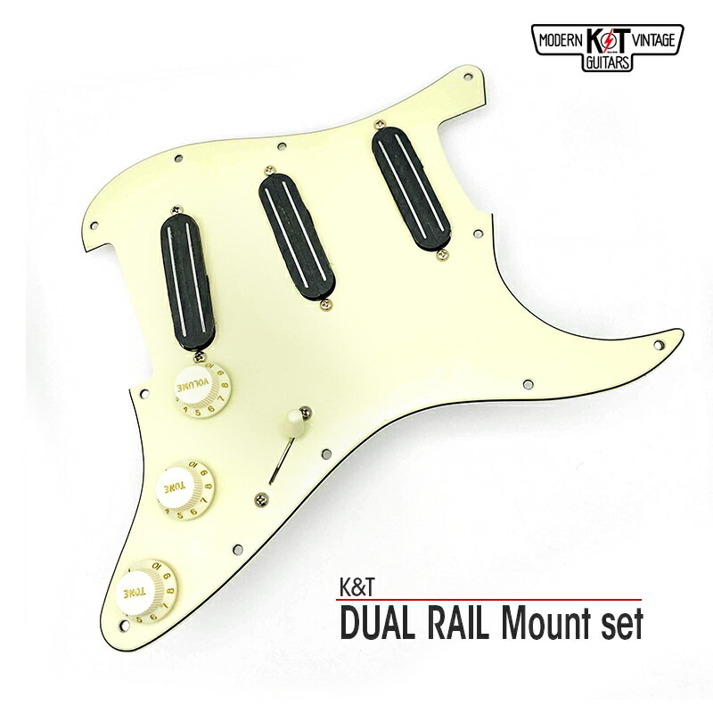 DUAL RAIL Mount set《DUAL RAIL x 3／USAパーツ一式付》【全品送料・代引手数料無料！】