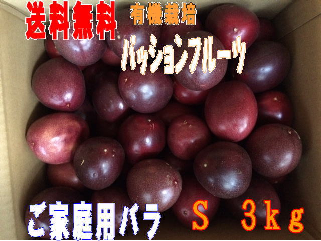 ご予約パッションフルーツ3kg S玉50個前後秀品+規格外品バラ詰め 　種子島産条件付き送料無料【北海道・東北・沖縄別途送料が必要】