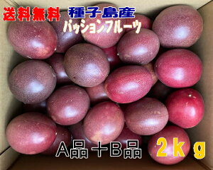 タイムセール10%0FFパッションフルーツ M〜3L A品+B品混在 2kg バラ詰め22個前後入り 有機肥料栽培 送料無料【別途送料北海道・沖縄・東北】