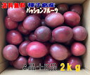 300円クーポン付き25日まで パッションフルーツ 2kg Sサイズ A品+B品バラ詰め33個前後入り 種子島産送料無料【別途送料北海道・沖縄・東北】