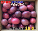300円クーポン付き25日まで パッションフルーツSサイズ3kg 50個前後 A品+B品バラ詰め 種子島産送料無料【北海道・東北・沖縄別途送料が必要】
