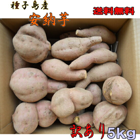 予約1割増量　訳あり 安納芋 種子島産サイズ混在S～L5kg　送料無料【北海道・沖縄・東北別途送料が必要】