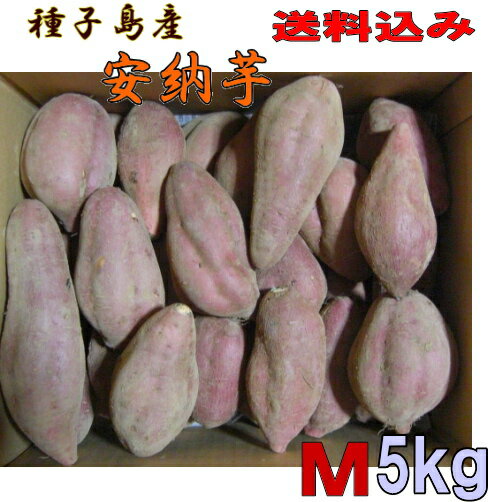 予約1割増量　安納芋 種子島産 Mサイズ5kg送料無料【　北海道・東北・沖縄別途送料】蜜芋