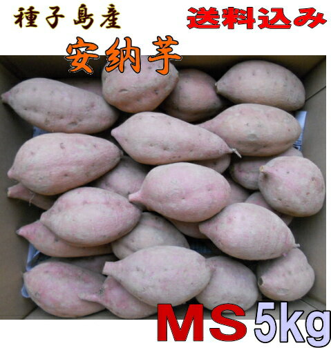 予約1割増量　安納芋MSサイズ5kg【送料無料 北海道・沖縄・東北別途送料】種子島産