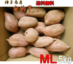 予約1割増量　種子島産　安納芋MLサイズ5kg送料無料【　北海道・東北・沖縄別途送料】蜜芋