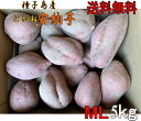 予約1割増量 種子島産 安納芋MLサイズ5kg【 北海道・東北・沖縄別途送料】蜜芋