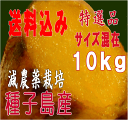 秀品中園ファームの蜜芋安納芋送料無料 蜜芋 種子島産M〜S混...