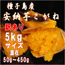 予約1割増量 訳あり【安納芋】送料無料 長期熟成蜜芋種子島産安納芋こがね(もみじ)選別済みM?L混在5kg【北海道・東北別途送料?】