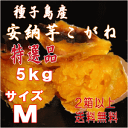 予約1割増量 秀品 長期熟成【2口以上購入で送料無料】北海道・東北別途送料となります甘蜜芋 種子島産安納芋こがね芋類評価4.5以上選別Mサイズ5kg【サツマイモ 安納芋 種子島】