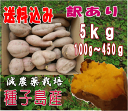送料無料 訳あり中園ファームの蜜芋安納芋種子島産 ミックスサ...