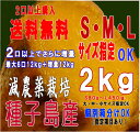 2口以上で送料無料 サイズ指定OK L?S 2口購入で2kgおまけ(同一商品に限り) 秀品長期熟成種子島産特選【2口で2kg増量・3口で4kg増量】蜜芋安納芋2kg産地直送【別途送料北海道・東北?】