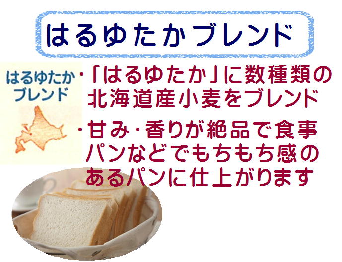 はるゆたかブレンド 1kg パン用小麦粉 強力粉 / 北海道産 パン用粉 小麦粉 国産 ハルユタカ 小麦 / パン作り 食パン ホームベーカリー パン材料 パン 小麦 こむぎこ 麦 粉 ぱん メリケン粉 1キロ 国産 強力小麦粉