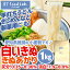 うどん粉 きぬあかり 白いきぬ 1kg / 日東富士製粉 愛知県産 薄力粉 小麦粉 うどん きしめん 製麺 どら焼き たこ焼き 焼き菓子 お菓子 製菓 国産 1キロ 国産小麦粉