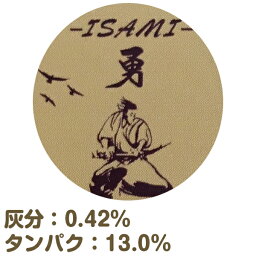 【送料無料】 勇 10kg （ 1kg×10袋 ） 熊本製粉 セット つけ麺 準強力粉 1kg×10 / 小麦粉 中華麺 ラーメン 手打ち 中華麺用 粉 手作り麺 ラーメン用 送料無料 10キロ 自家製麺セット 【同梱不可】