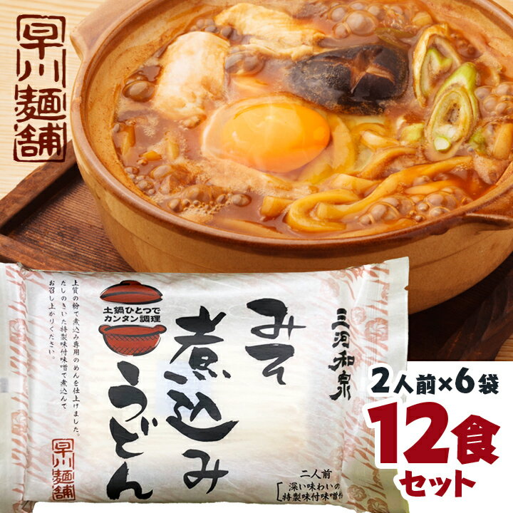 三河和泉 みそ煮込みうどん 12食セット 二人前（100g×2）6袋入 味噌 煮込み うどん 和泉 送料無料